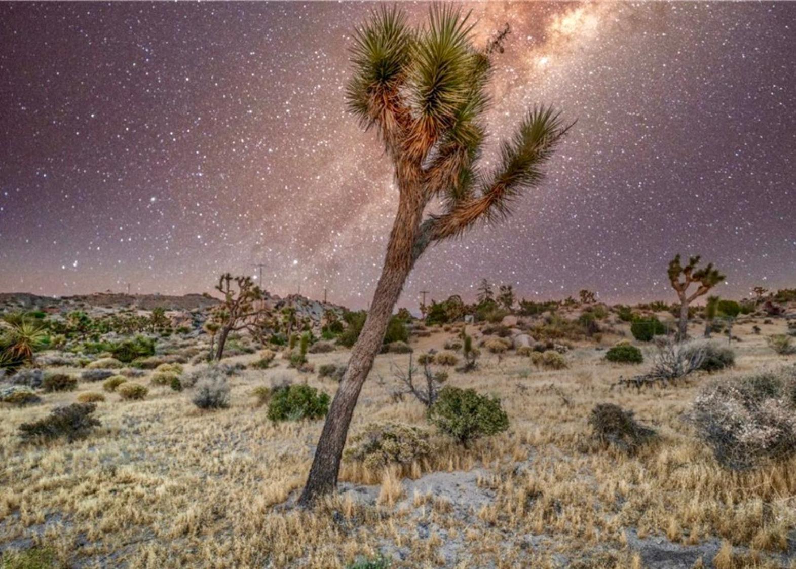 Twin Palms Desert Getaway - Jacuzzi, Fire Pit, Meditation Room & More Joshua Tree Buitenkant foto